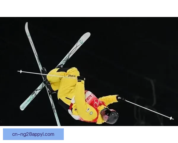 中国空中技巧队勇夺二金三铜收官